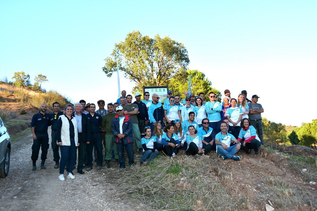 cms_montanha-verde-5