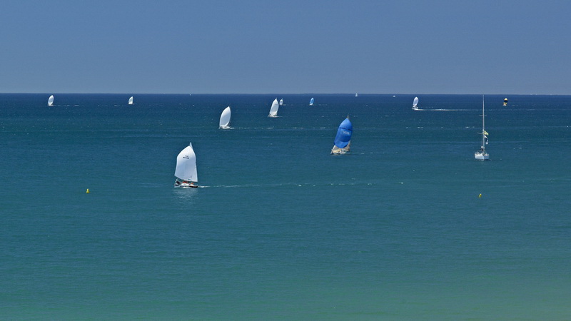 vale-lobo-4052